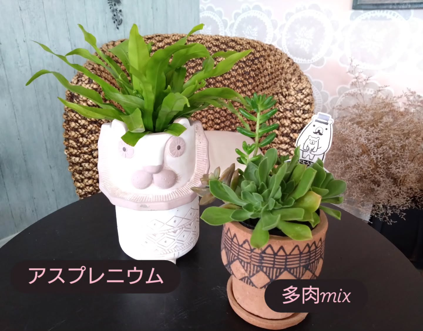 明日は『父の日』🕺