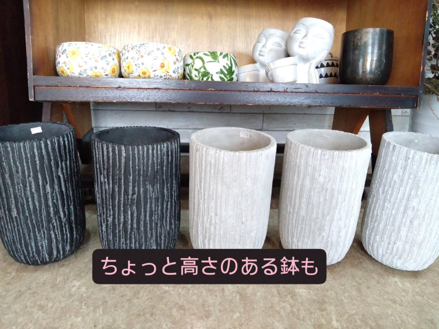 浅めの陶器、高さのある陶器入りました😊