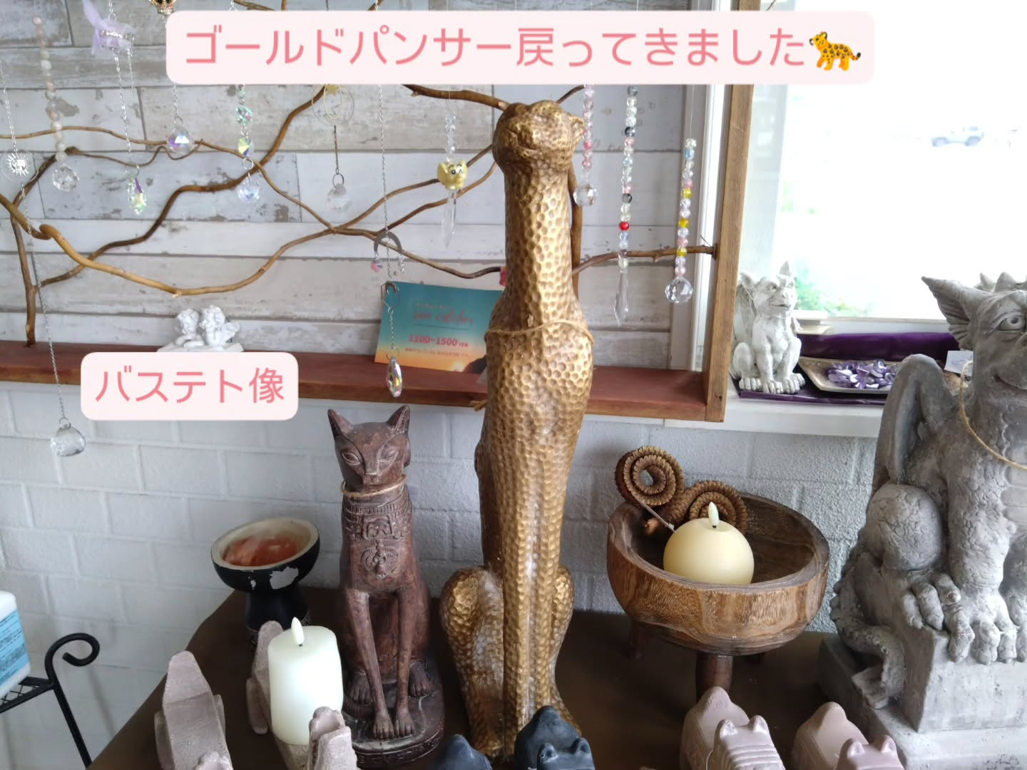 浅めの陶器、高さのある陶器入りました😊