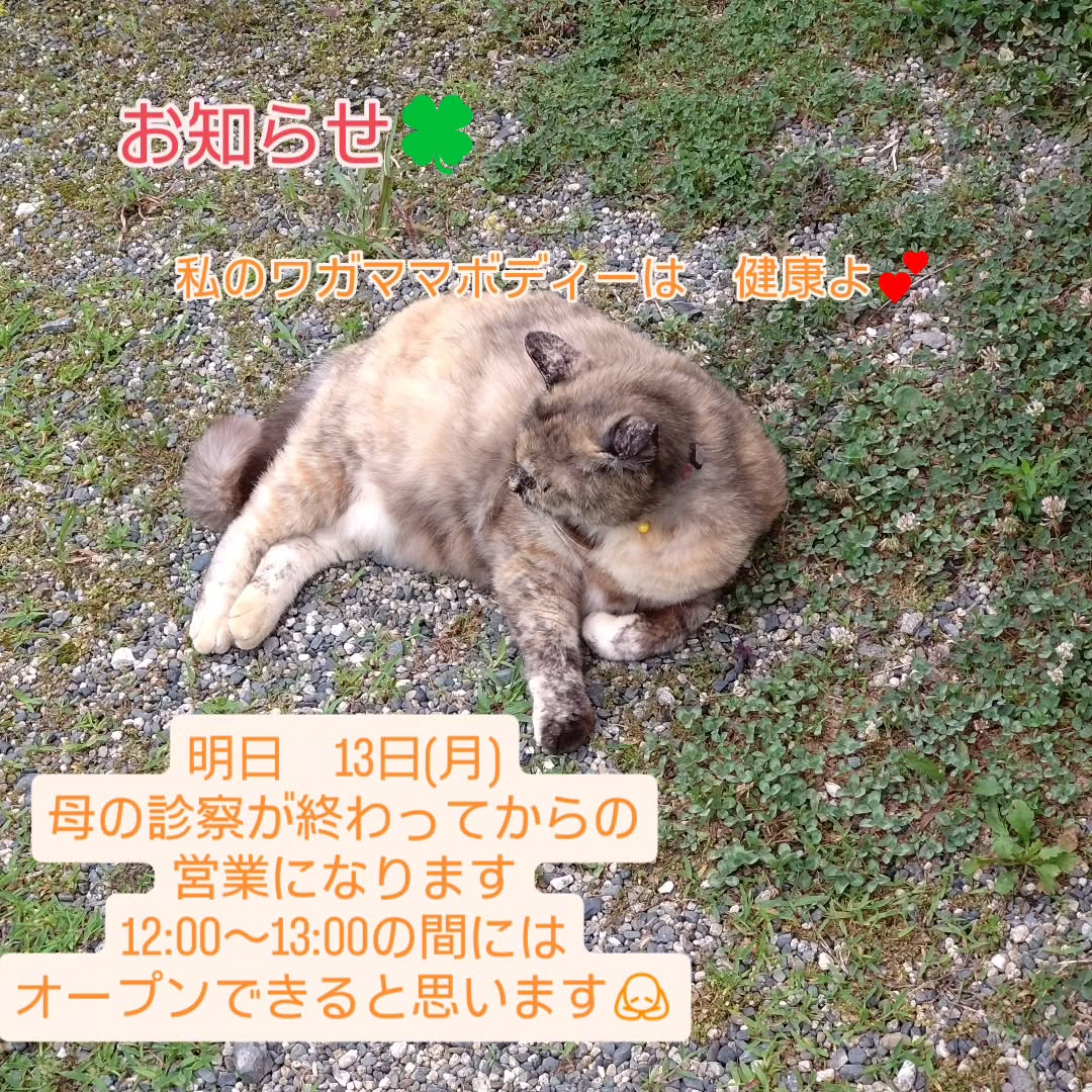 お知らせ🍀
