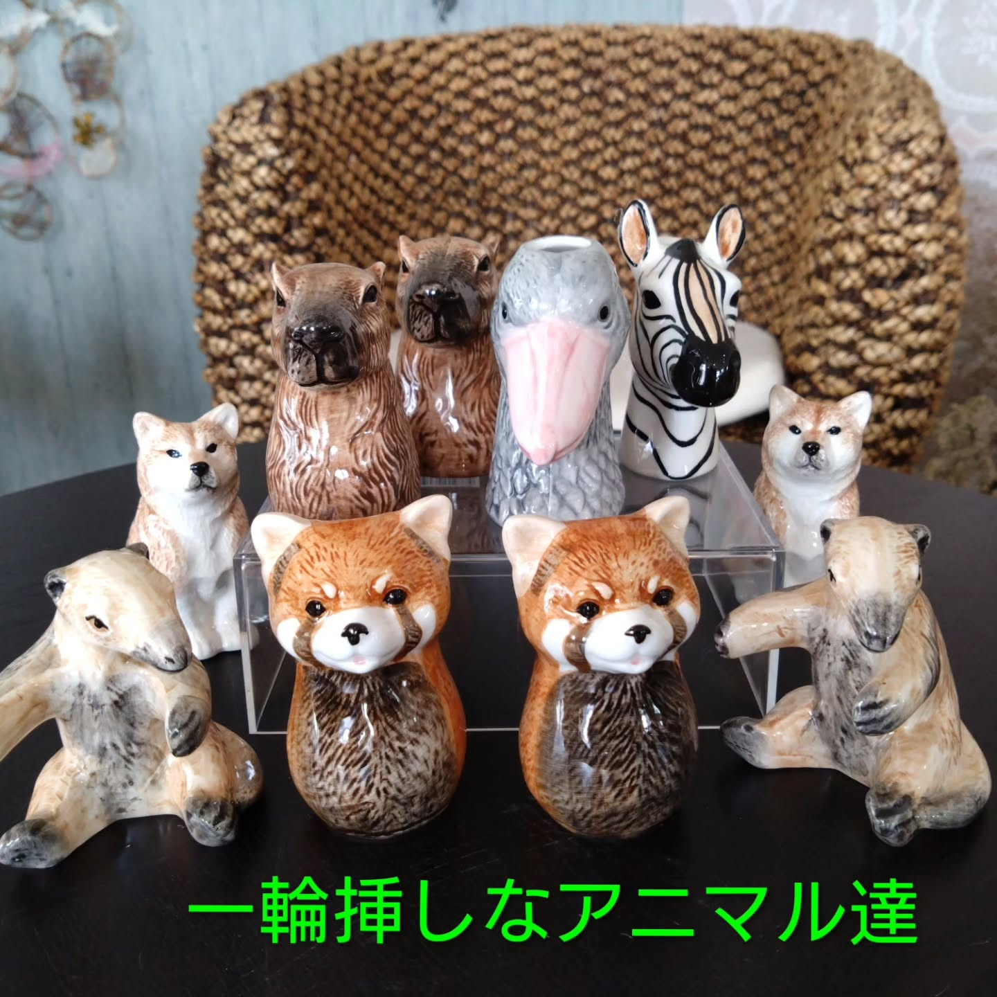 お知らせ🍀