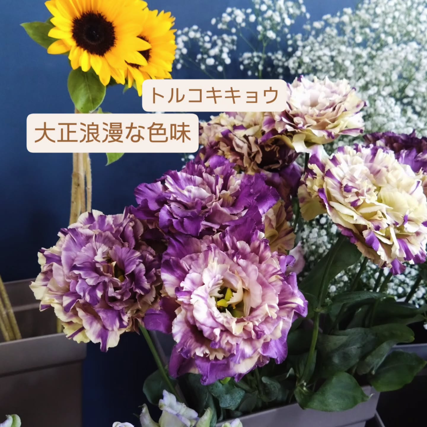 素敵な色たち😊