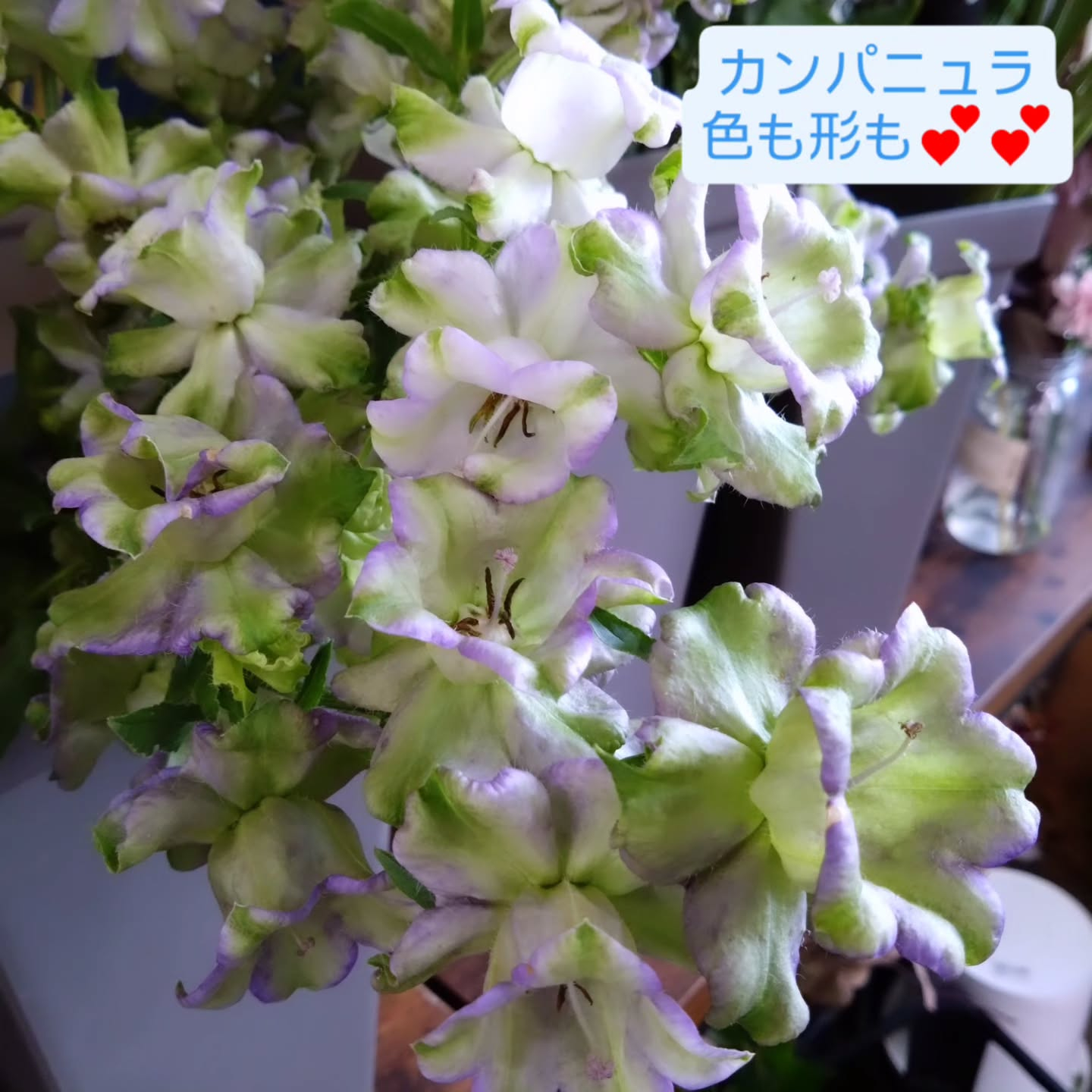素敵な色たち😊