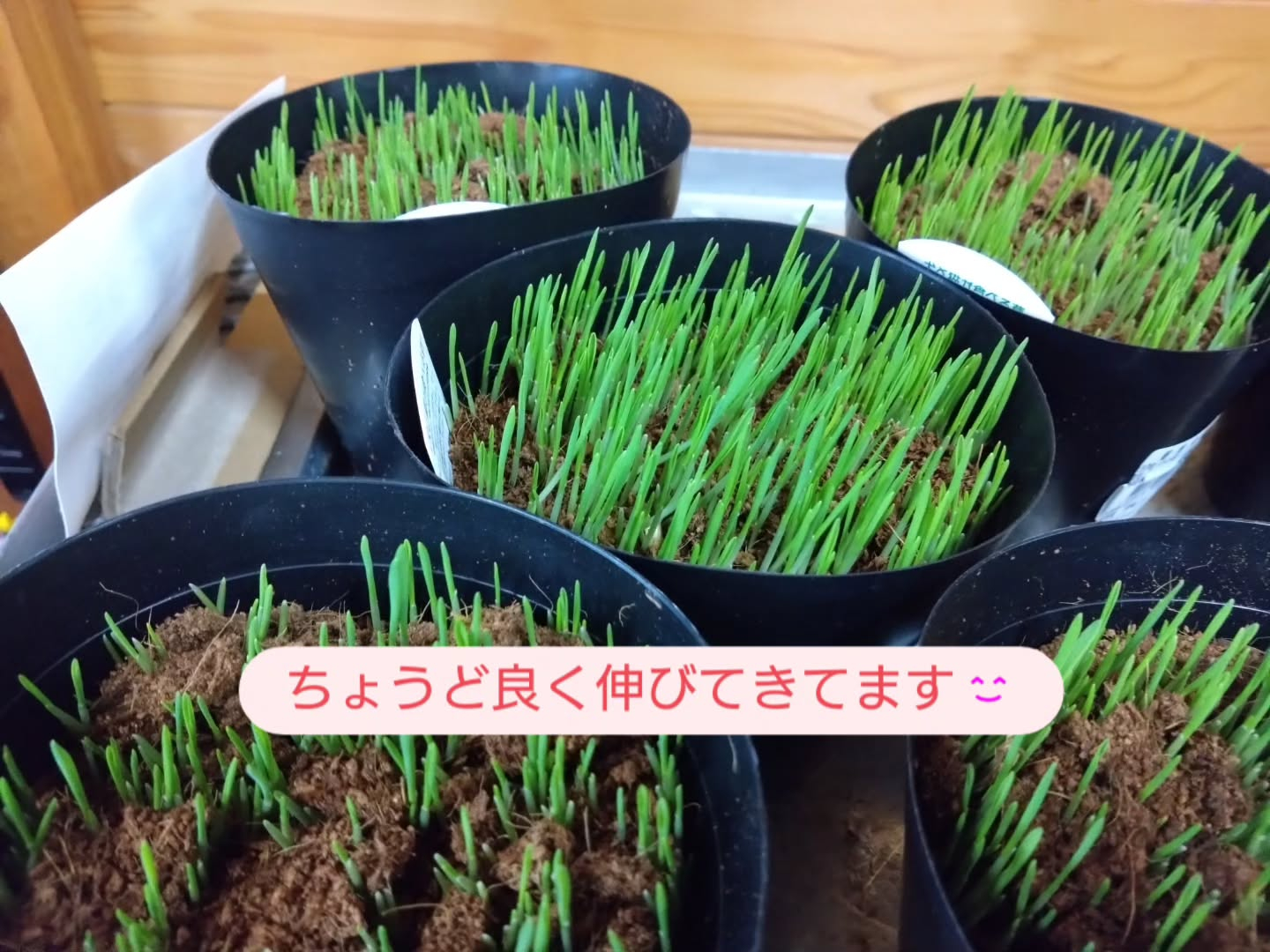 お待たせしました!!