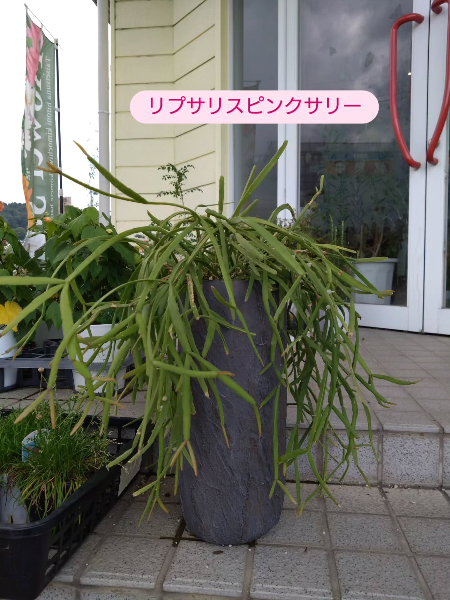 ご機嫌で成長してます😀
