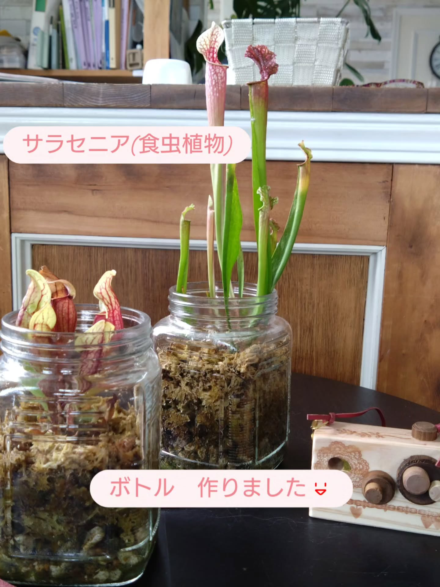 ご機嫌で成長してます😀