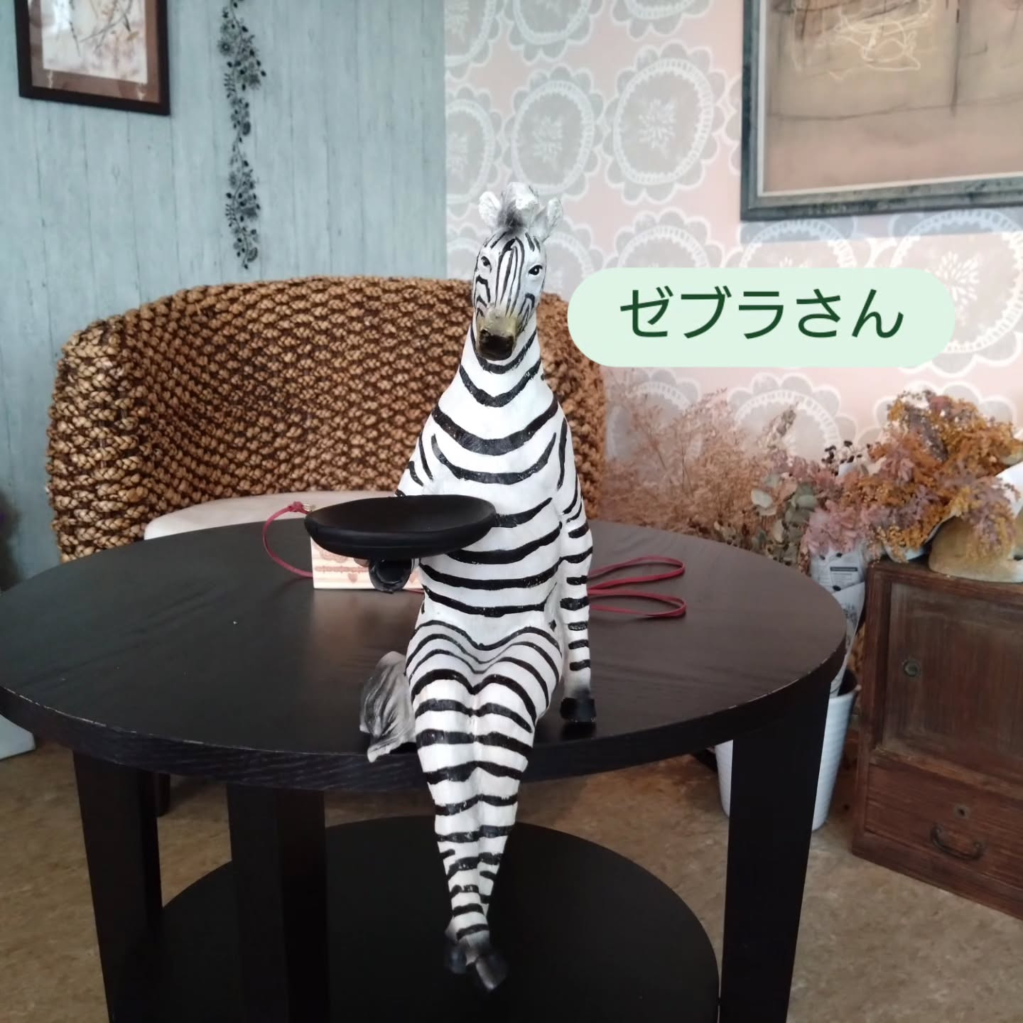 おすすめの新しい仲間です