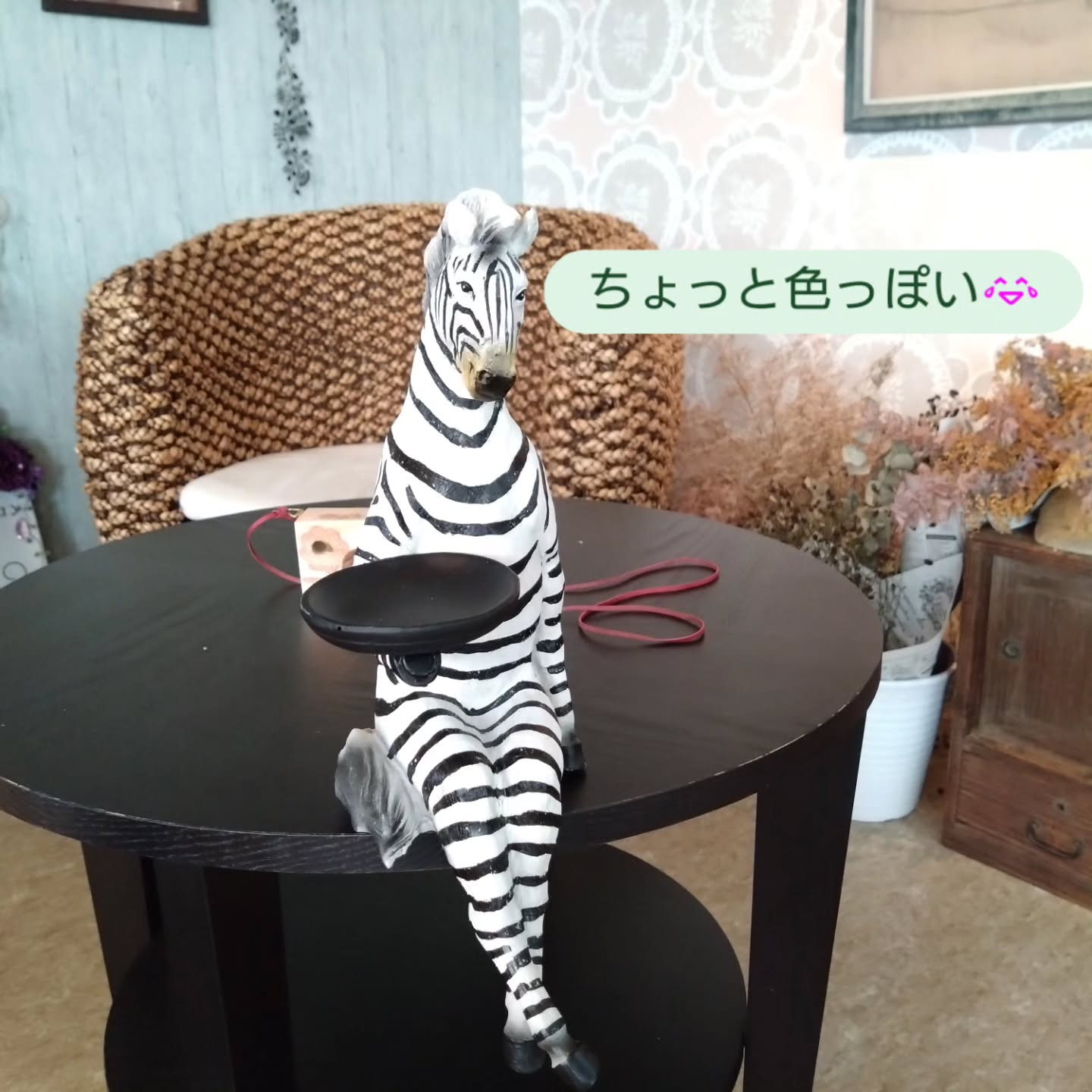 おすすめの新しい仲間です
