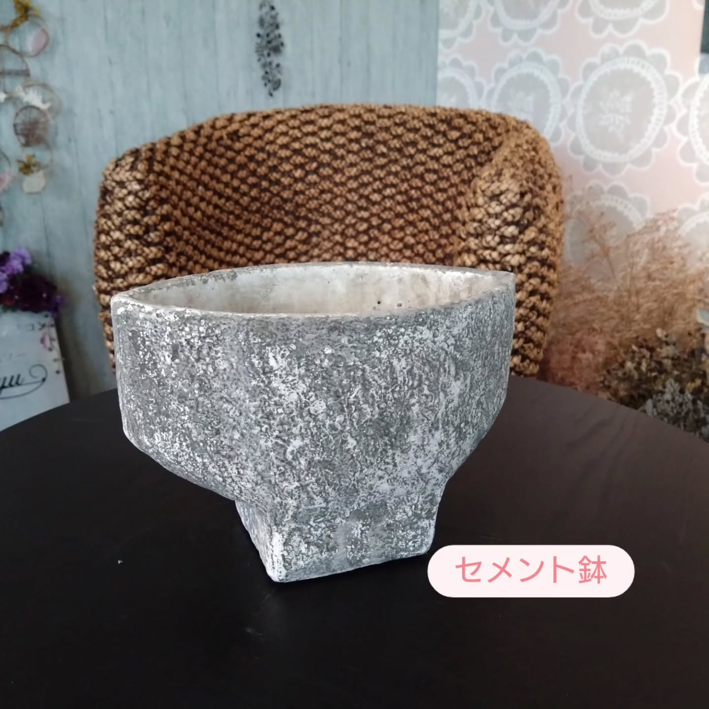 おすすめの新しい仲間です