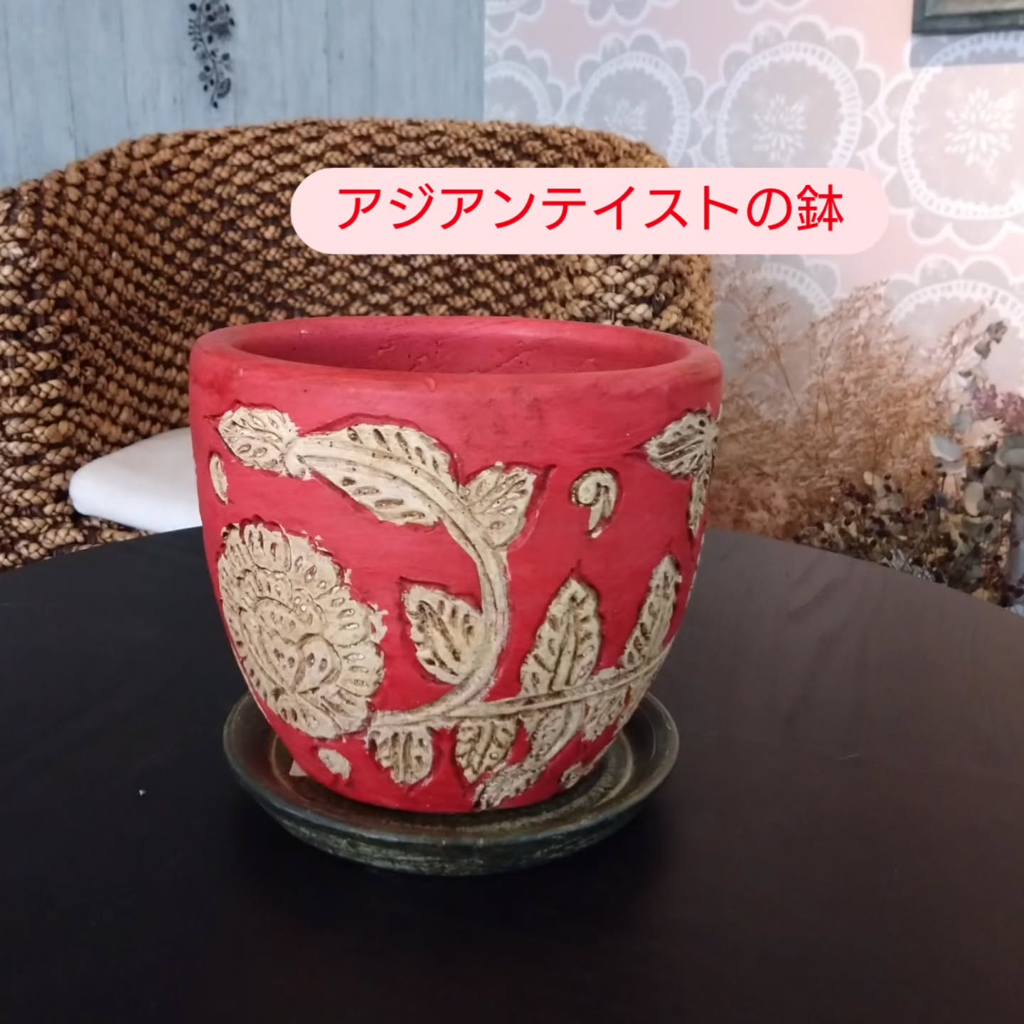 おすすめの新しい仲間です