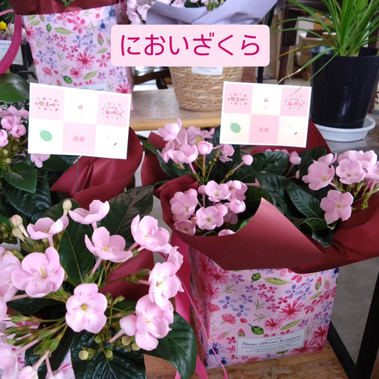 9/21(月)　敬老の日