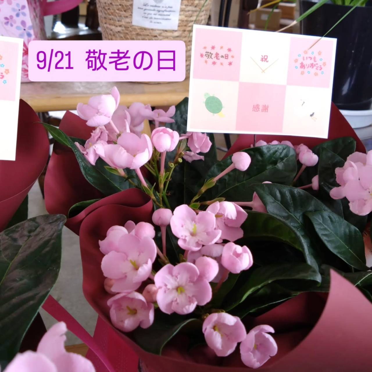 9/21(月)　敬老の日