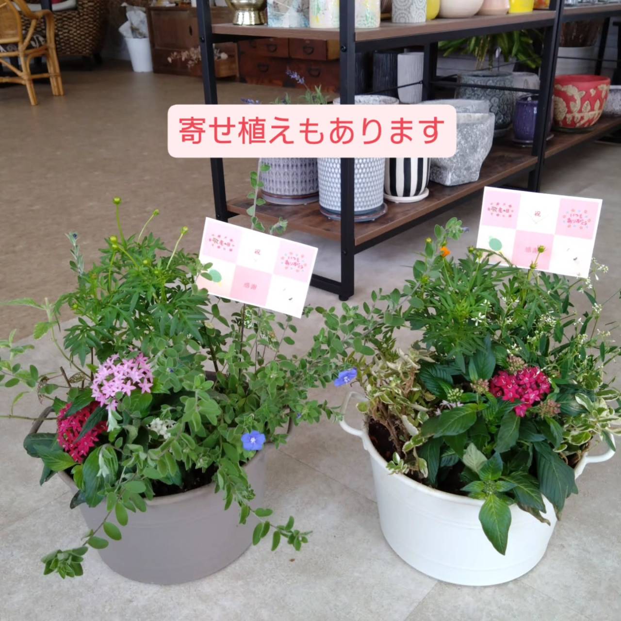 9/21(月)　敬老の日