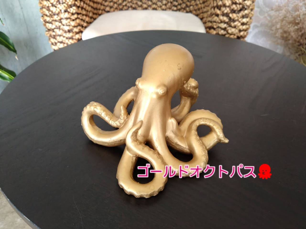 新商品入荷中☺️