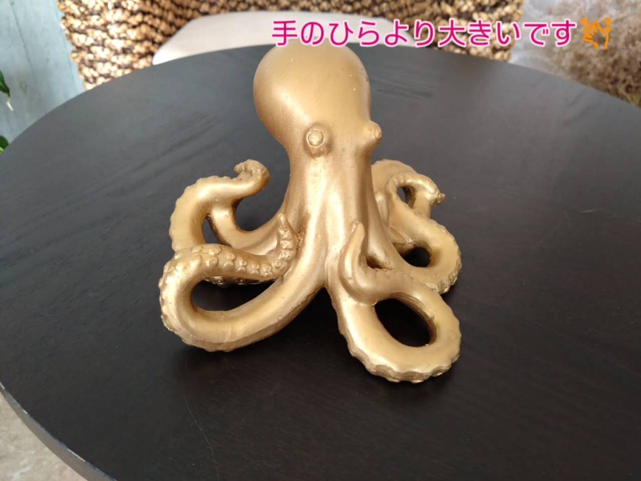 新商品入荷中☺️
