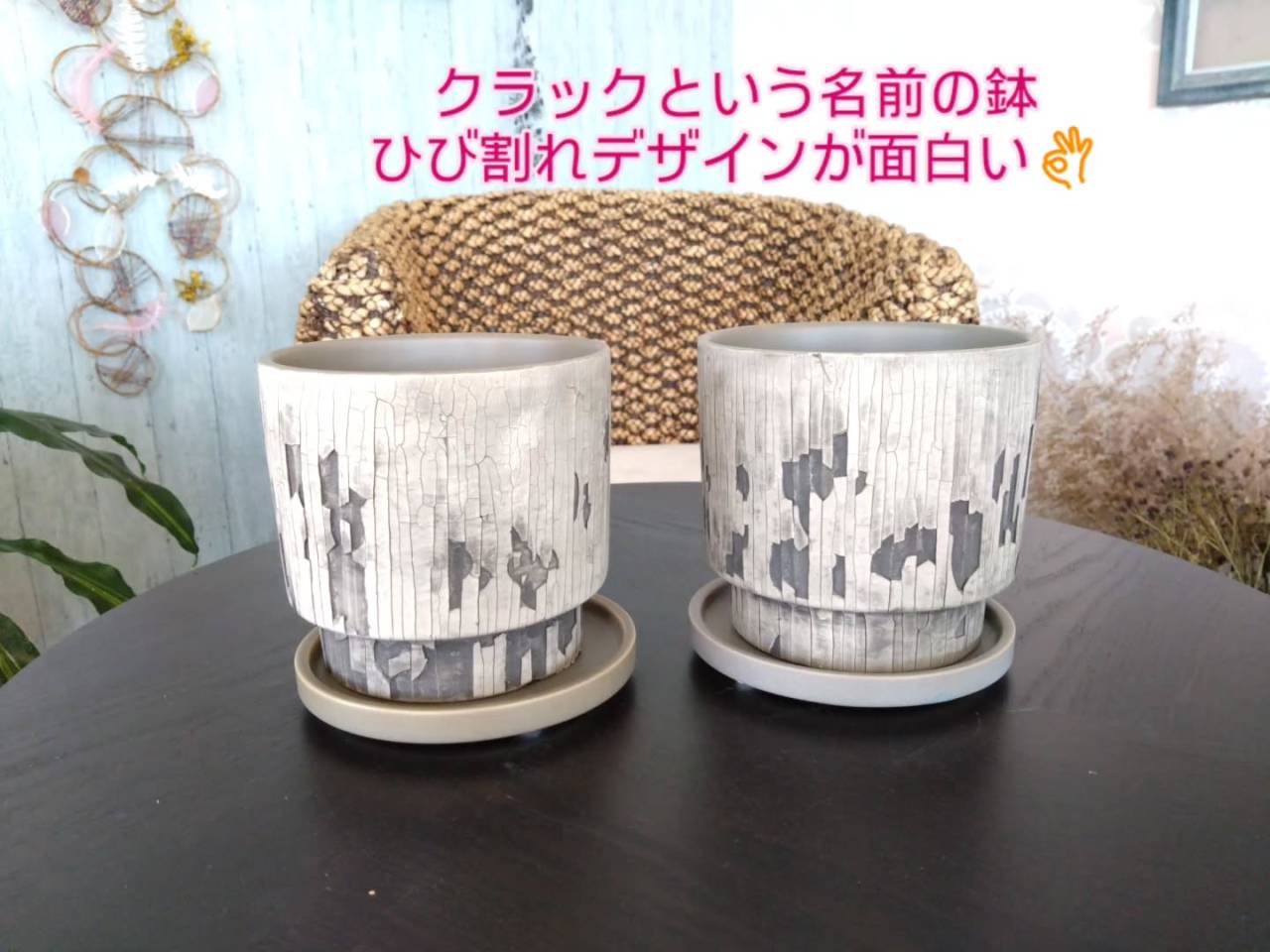 鉢、花びん少し入荷しました😃