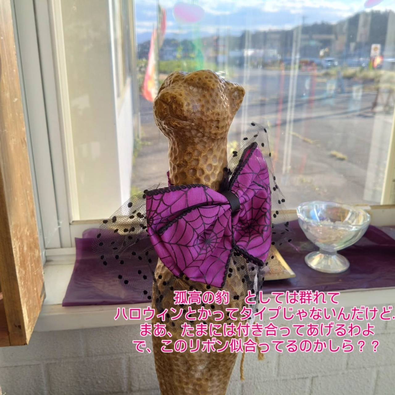 動物達のつぶやき…
