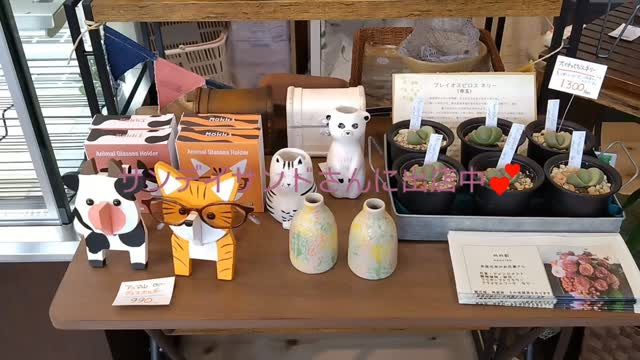 本日はサンデイサンドさんに初出店させていただいてます😃